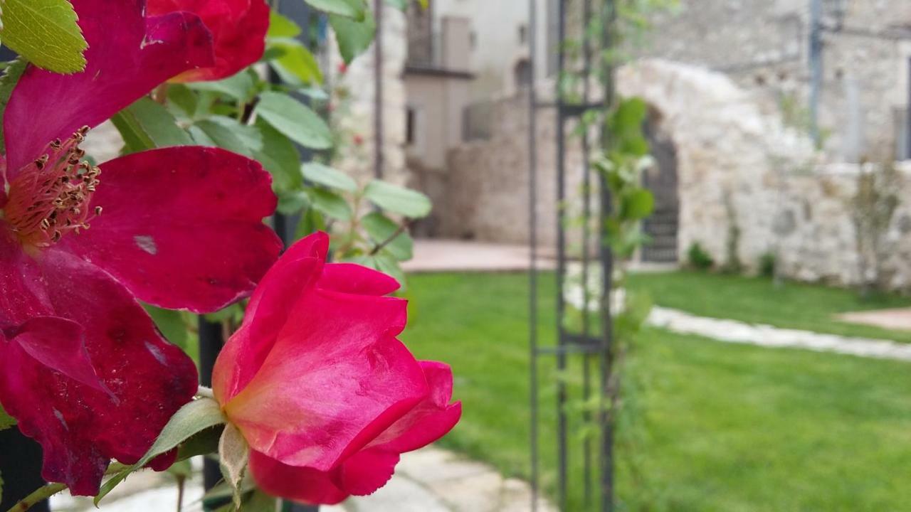 Villa Alloggi Agrituristici Antica Dimora San Demetrio ne' Vestini Exterior foto
